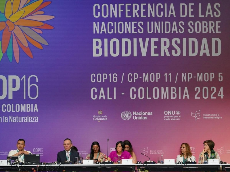 Foto:X, Susana Muhamad  La presidenta de la cumbre, Susana Muhamad, propone iniciar un proceso de negociaciones con el objetivo de crear un nuevo fondo en la COP17 de Armenia, en 2026, para que los países pobres reciban ayuda de los ricos.