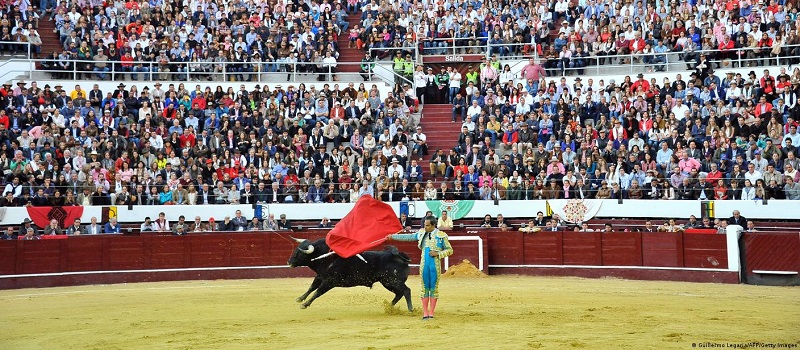 La prohibición de las corridas de toros y otros espectáculos de maltrato animal quedó establecida a partir del 2027, de acuerdo al proyecto aprobado en la Cámara de Representantes y el Senado, cuyo trámite para que sea ley de la república solo le falta la conciliación entre las dos corporaciones y la sanción presidencial. 