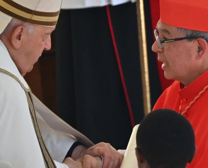 El arzobispo de Bogotá, Luis José Rueda Aparicio, se convirtió en el único cardenal elector de Colombia, un logro significativo para la Iglesia colombiana, quien ha reconocido la labor pastoral en su vocación sacerdotal, principalmente en la búsqueda de la paz y la reconciliación nacional.