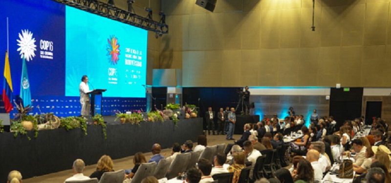 Al dar apertura oficial a la COP16, el jefe de Estado colombiano Gustavo Petro, advirtió que una inteligencia artificial sin freno y articulada a los combustibles fósiles, trae “desempleo en masa universal, ganancias sin recorderis históricos, destrucción del clima y separación del ser humano de la realidad".