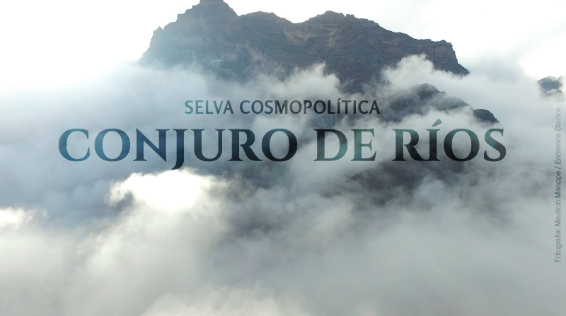 El Museo de Arte de la Universidad de Colombia, en Bogotá, recibe los trabajos que en torno a los Ríos han realizado los artistas colombianos Carolina Caycedo, Clemencia Echeverri y Endémica Studios (Carlos Rincón Campo “Kalú” y Laura Gómez Unda); el brasileño Cildo Meireles, y el venezolano Sheroanawë Hakihiiwë.
