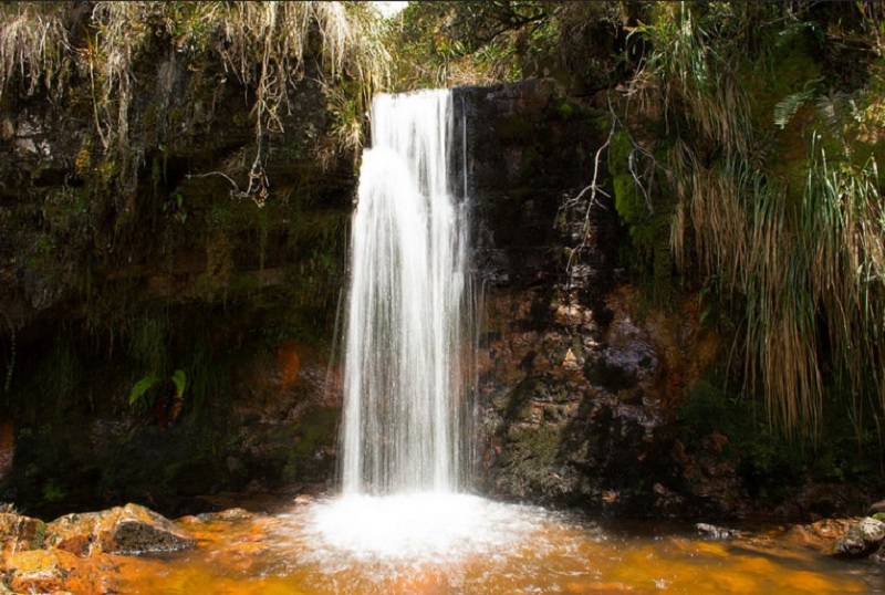 El Plan de Desarrollo de ‘Cundinamarca, región que progresa’ fue reconocido hoy como una de las Promesas Climáticas de Colombia por el Ministerio de Ambiente y Desarrollo Sostenible y el Programa de las Naciones Unidas para el Desarrollo (PNUD), con el apoyo del Departamento Nacional de Planeación (DNP), Asocapitales y Asocars.