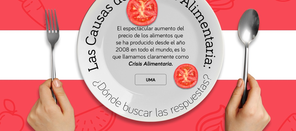 Comprender las raíces de la Crisis Alimentaria, agravada por la COVID-19, es muy importante para establecer estrategias realmente pertinentes y oportunas.