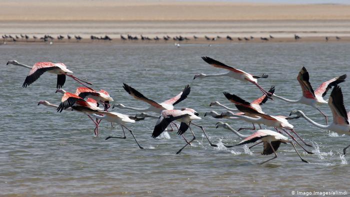 Además de recordar que son reservorios de agua dulce, "absorben la contaminación actuando como esponja, filtran, frenan desastres ecológicos como inundaciones". Asimismo, algunos de ellos son herramientas claves en la lucha contra el cambio climático.  Es el caso de las turberas que, a pesar que "solo cubren el 3 por ciento de la superficie, fijan tres veces más carbono que los bosques tropicales".