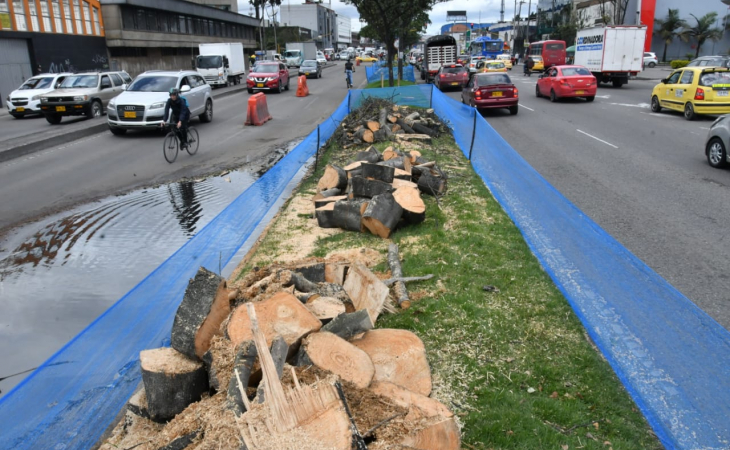 “La Alcaldesa Claudia López permitió al Director del IDU que violara el acuerdo con la Personería de Bogotá, de los ciudadanos, de los vecinos para acabar con centenares de árboles que por más de 30 años capturan CO2, y después sembrar de nuevo, en detrimento patrimonial de la ciudad, en un abierto irrespeto a los entes de control”, dijo el vecino de la zona y ex director del Jardín Botánico, Herman Martínez.