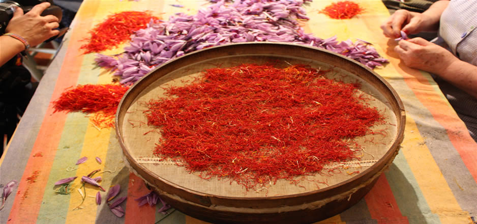 El Azafrán se marida muy bien con arroces, postres, salsas, masas para pasta, caldos y sopas, pescados y carnes. En el último minuto de la receta, es su momento ideal para conservar su aroma y su color dorado.