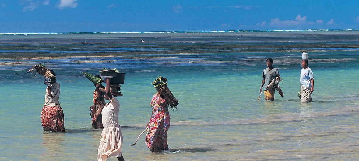La nueva ronda de conversaciones sobre el Cambio Climático en Bangkok, Tailandia, concluyeron este domingo con un progreso dispar en la mayoría de los puntos de negociación que han de trazar las directrices sobre cómo aplicar el Acuerdo de París. Estas normas son básicas para el progreso de la acción climática en todo el mundo de una manera transparente, destaco la UNFCCC.