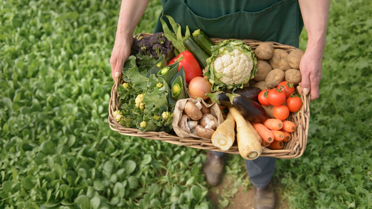 ProColombia, la Gobernación de Risaralda y la Cámara de Comercio de Pereira organizaron,  un encuentro con 12 compradores de siete países interesados en café, panela, frutas y verduras frescas y frutas procesadas orgánicas, alimentos orgánicos y sostenibles, productos por los que los mercados internacionales están dispuestos a pagar hasta 30% más.