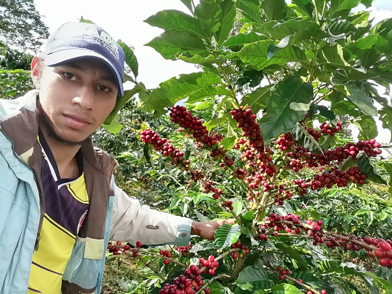 -Jóvenes cafeteros crearon empresas que se proyectan a futuro con innovación y estructura. Con el apoyo de la Federación Nacional de Cafeteros, avanzan nuevos emprendimientos.- 